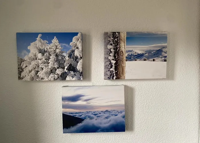 Nevadahome Arttyfal Junto Al Telesilla