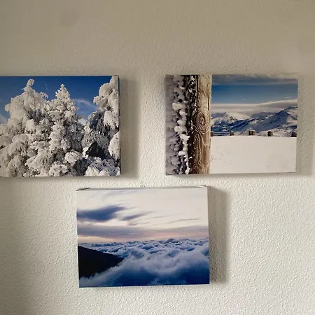 Nevadahome Arttyfal Junto Al Telesilla